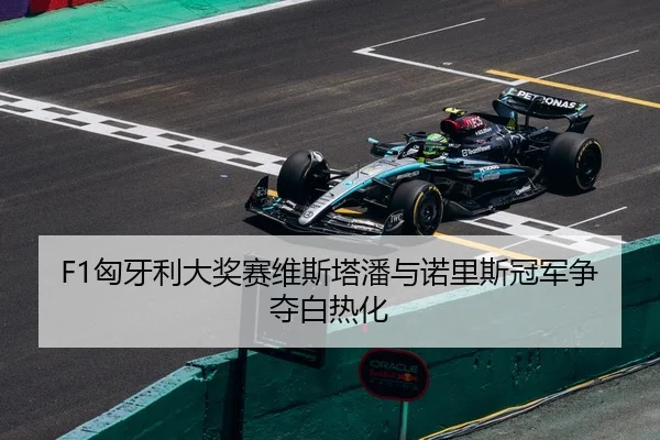 F1匈牙利大奖赛维斯塔潘与诺里斯冠军争夺白热化