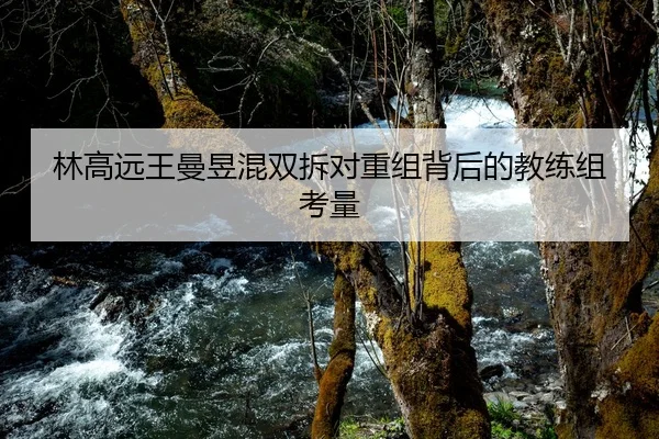 林高远王曼昱混双拆对重组背后的教练组考量